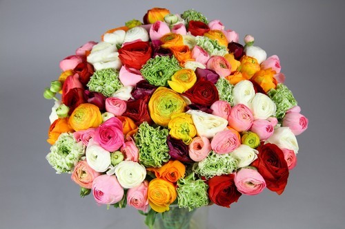 Italian Flowers • Jan.-May