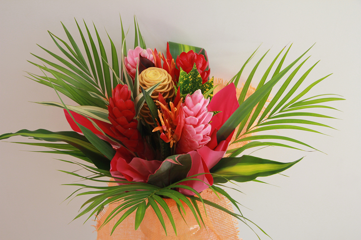 Tropicals • EC