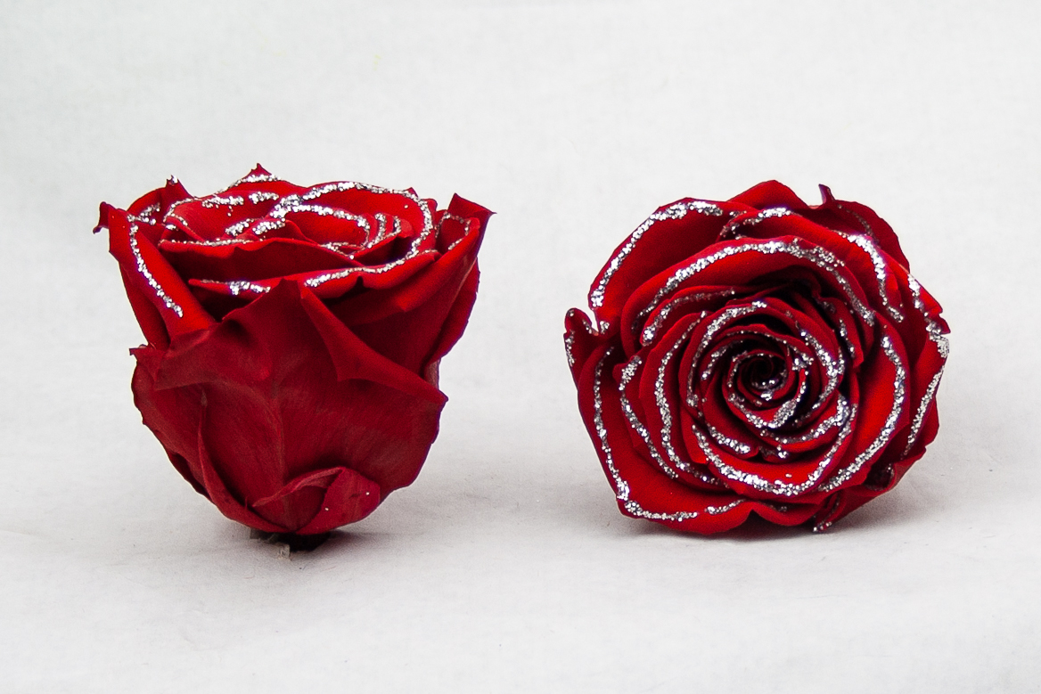 Preserved Roses • EC